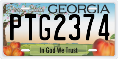 GA license plate PTG2374