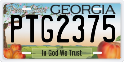 GA license plate PTG2375