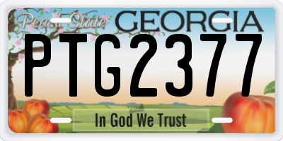 GA license plate PTG2377
