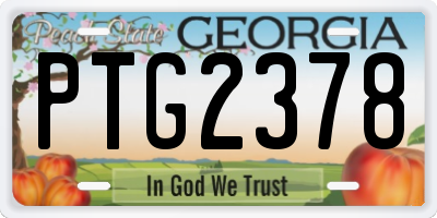 GA license plate PTG2378