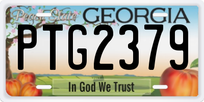 GA license plate PTG2379