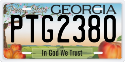 GA license plate PTG2380