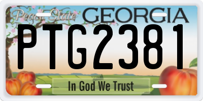 GA license plate PTG2381