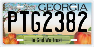 GA license plate PTG2382