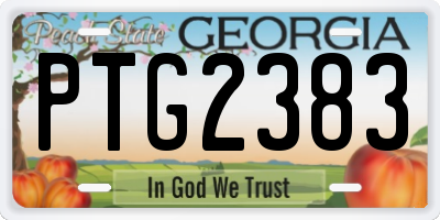 GA license plate PTG2383