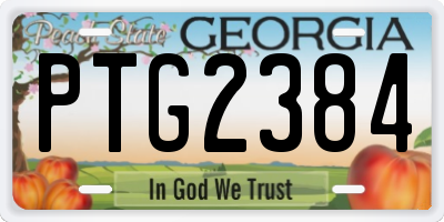 GA license plate PTG2384