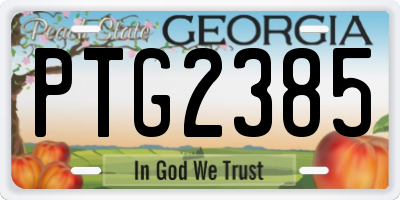 GA license plate PTG2385