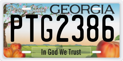 GA license plate PTG2386