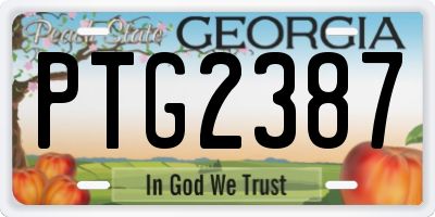 GA license plate PTG2387