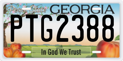 GA license plate PTG2388