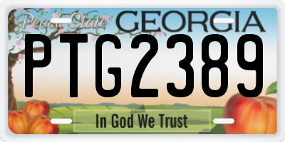 GA license plate PTG2389