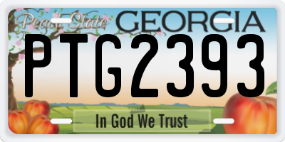 GA license plate PTG2393