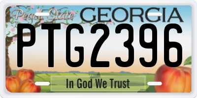 GA license plate PTG2396