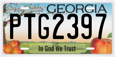 GA license plate PTG2397