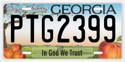 GA license plate PTG2399