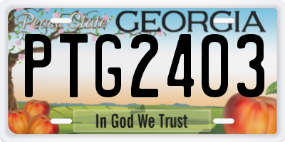 GA license plate PTG2403