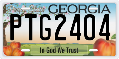 GA license plate PTG2404