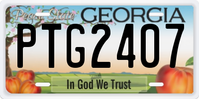 GA license plate PTG2407