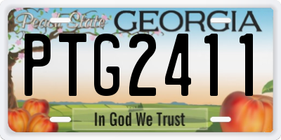 GA license plate PTG2411