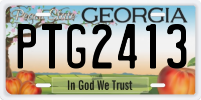 GA license plate PTG2413