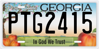 GA license plate PTG2415
