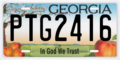 GA license plate PTG2416