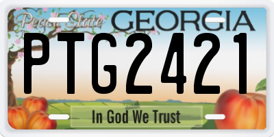 GA license plate PTG2421