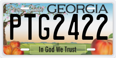 GA license plate PTG2422