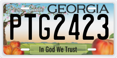 GA license plate PTG2423