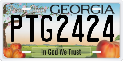 GA license plate PTG2424