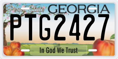 GA license plate PTG2427