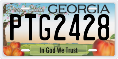 GA license plate PTG2428