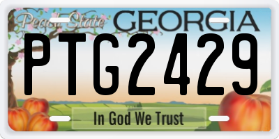 GA license plate PTG2429