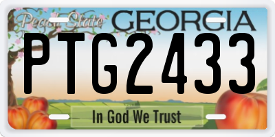 GA license plate PTG2433
