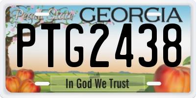 GA license plate PTG2438