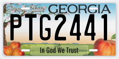 GA license plate PTG2441