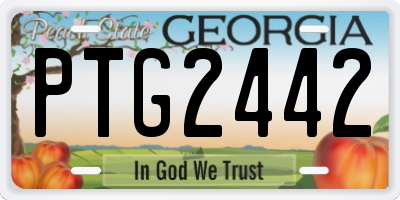 GA license plate PTG2442