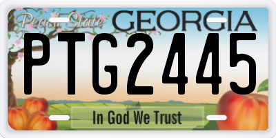 GA license plate PTG2445