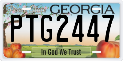 GA license plate PTG2447