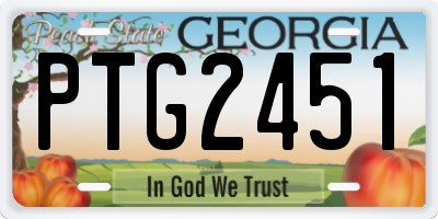 GA license plate PTG2451