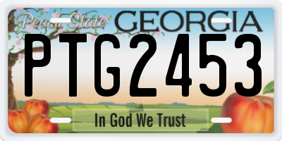 GA license plate PTG2453