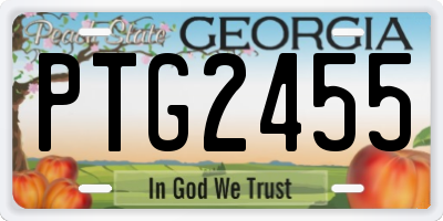 GA license plate PTG2455