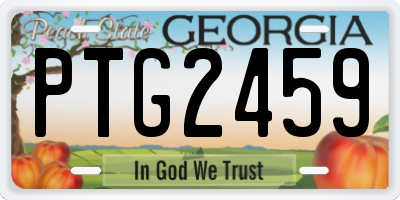GA license plate PTG2459