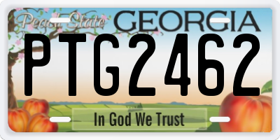 GA license plate PTG2462