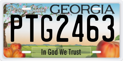 GA license plate PTG2463