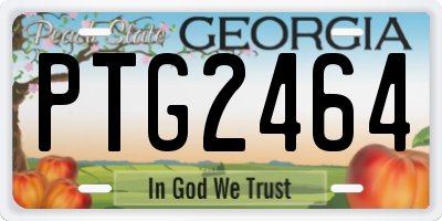 GA license plate PTG2464