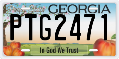 GA license plate PTG2471