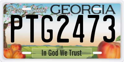 GA license plate PTG2473