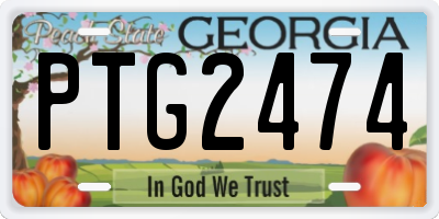 GA license plate PTG2474