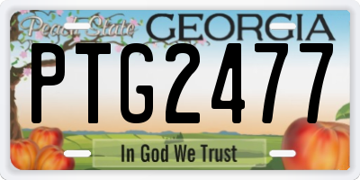 GA license plate PTG2477